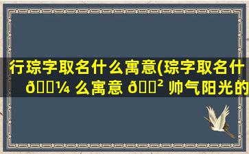 行琮字取名什么寓意(琮字取名什 🐼 么寓意 🌲 帅气阳光的男孩名字有哪些)